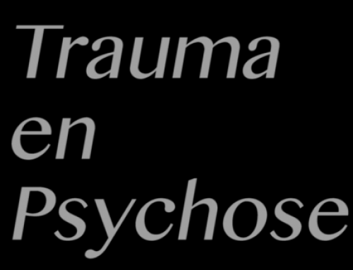 Trauma en psychose, de documentaire